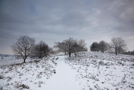 Winter op de Posbank