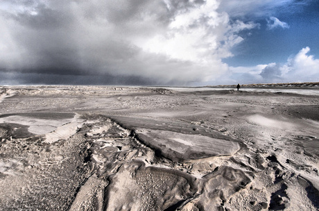 Wadden Ameland