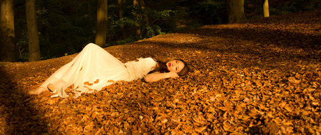 Enchanted Forest 016