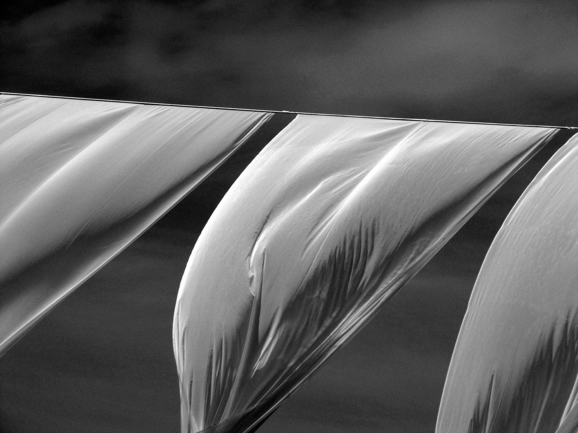 blowing in the wind - lakens op een eilandje bij zakynthos - foto door riaharmsen op 31-07-2011 - deze foto bevat: wind