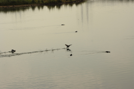 Ready for take-off....