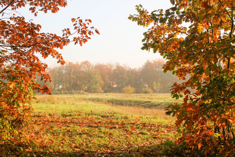 Doorkijk in Exloo