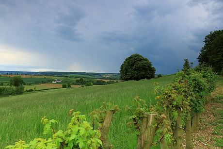 wat een prachtig landschap