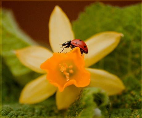 Op zoek naar iets lekkers