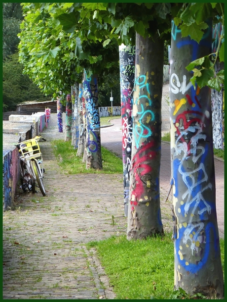 Grafit-trees