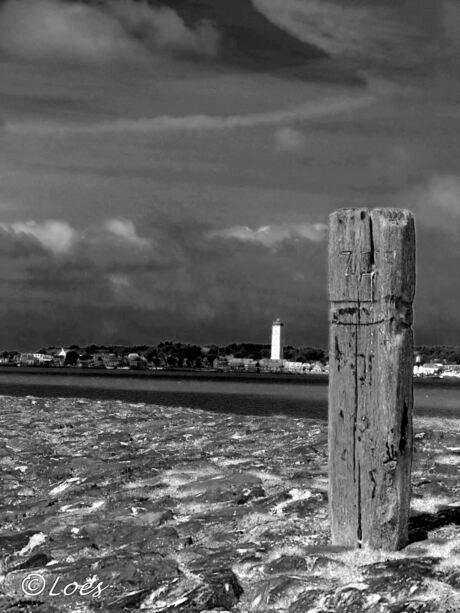 Terschelling