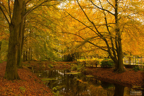 Landgoed Havixhorst