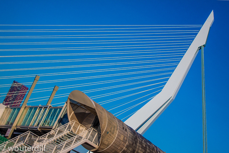 Erasmusbrug Rotterdam