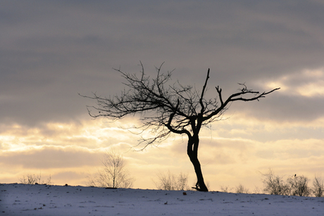 Drunense Duinen