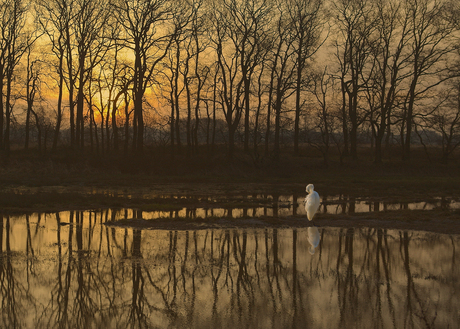 Mooi Westerwolde