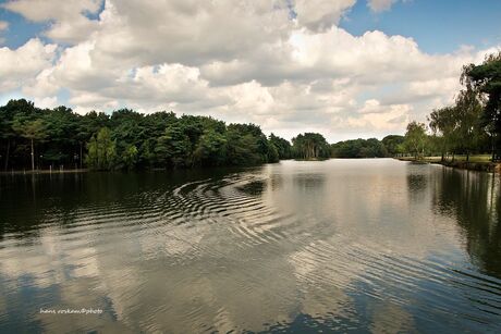 beekse bergen bootsafari-5016.jpg