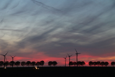 landschap almere