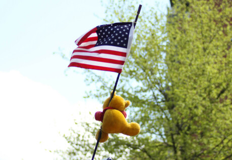 amerikaanse vlag met beertje op antenne