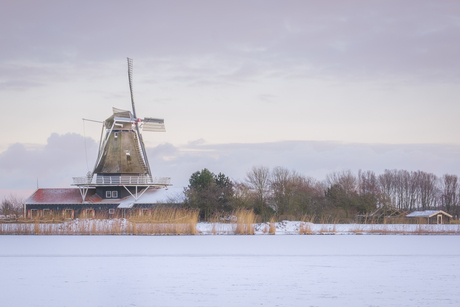 Oude Veer, Anna Paulowna