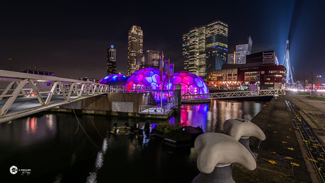 Rotterdam by night