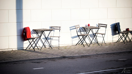 Waiting for the butt of visitors