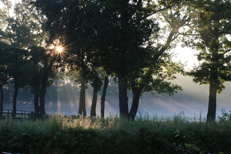 ochtendlicht