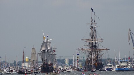 Sail2015