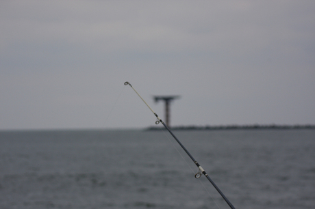 Fishing @ Maasvlake