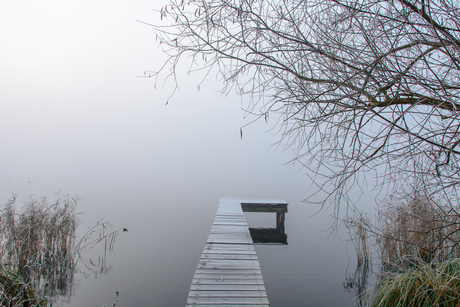 Misty Lake I