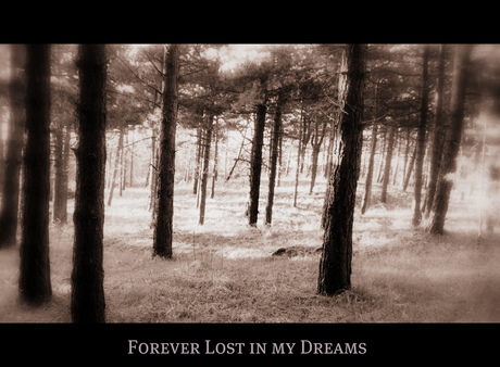 Forever Lost in my Dreams