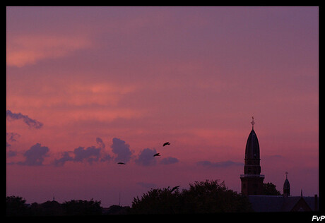 Purple sunset