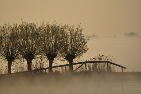 ochtent mist