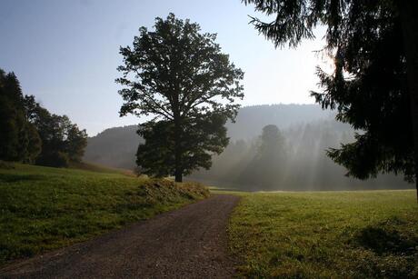 Herfst