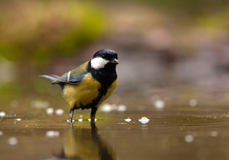 Pootje baden