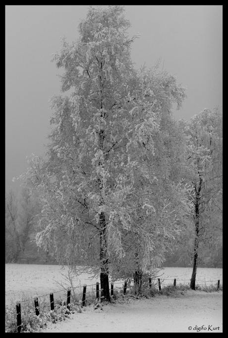 Wordt het toch nog een witte Kerst?