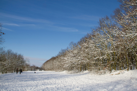 Gelders Landschap Bergharen 2