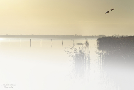 In de vroege ochtend