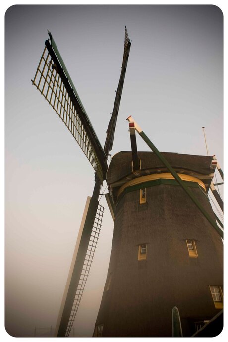 molen bij zonsopgang