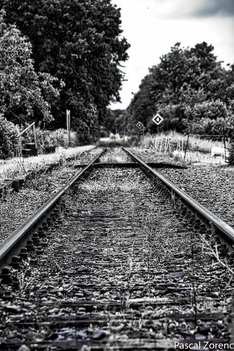 Rails in de verte