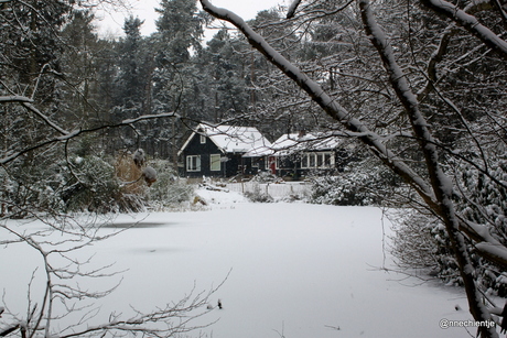 Een van de vele huisjes in de bossen van Twente