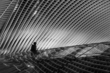 Guillemins