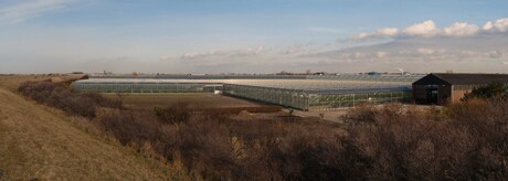 PANO Nederland van boven Westlandzicht 20 feb 2012