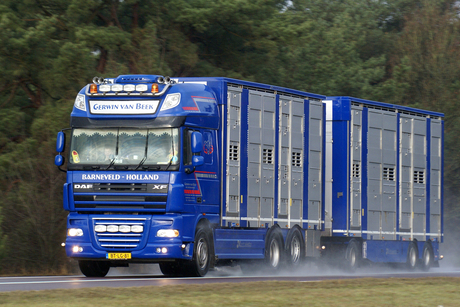 Daf XF 105