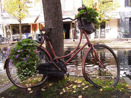 Ouwe fiets met bloemen.