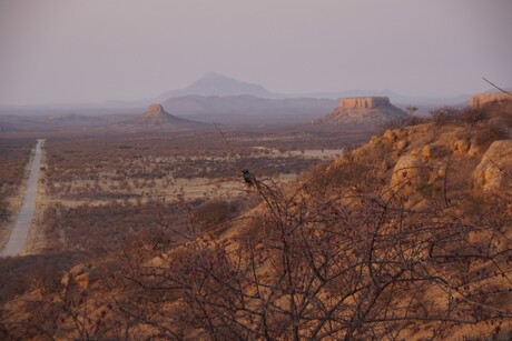 In the desert