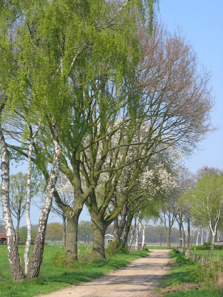 Landweggetje in Eerbeek