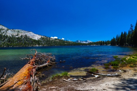 Tenaya Lake in Yosemite NP