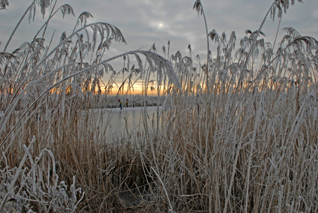 winter alblasserwaard