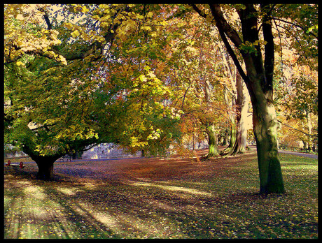 Herfst in Maastricht