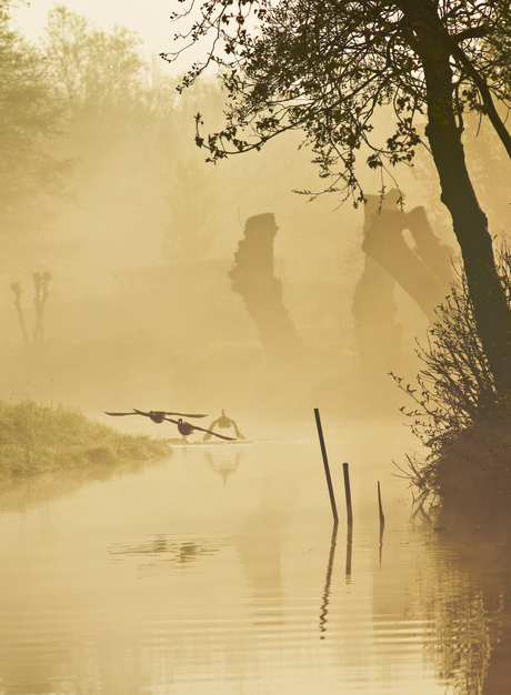 Mystiek Nederland