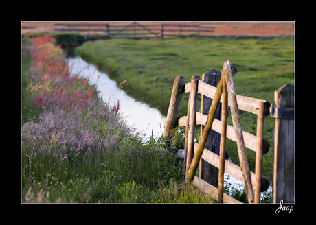 Polder Arkemheen