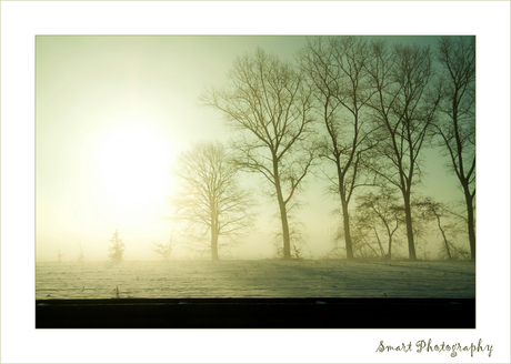 Onderweg...