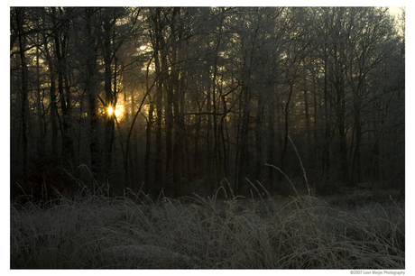 Zonsondergang in de winter