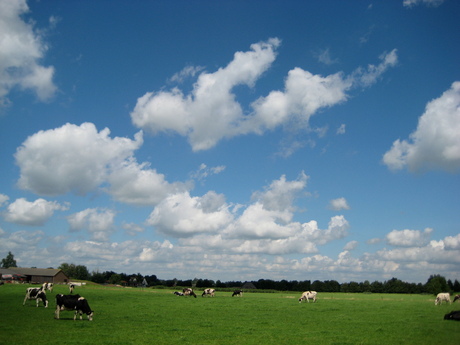 Rummelaarseweg