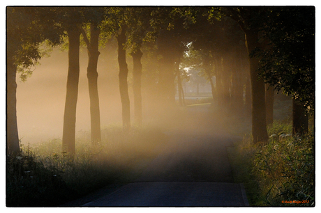 Kampinaheide Brabant